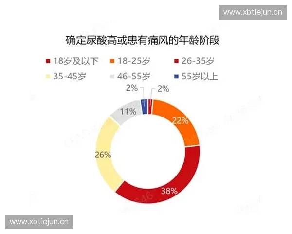围绕美国美式足球联赛规侧的深度解析与规则演进趋势全面探讨新篇